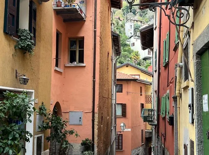 Lalucia Luxury 아파트 *